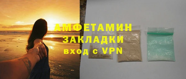 прущие грибы Сосновоборск