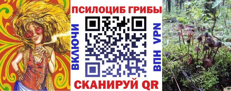 Галлюциногенные грибы мухоморы  цена   ссылка на мегу   Волгоград 