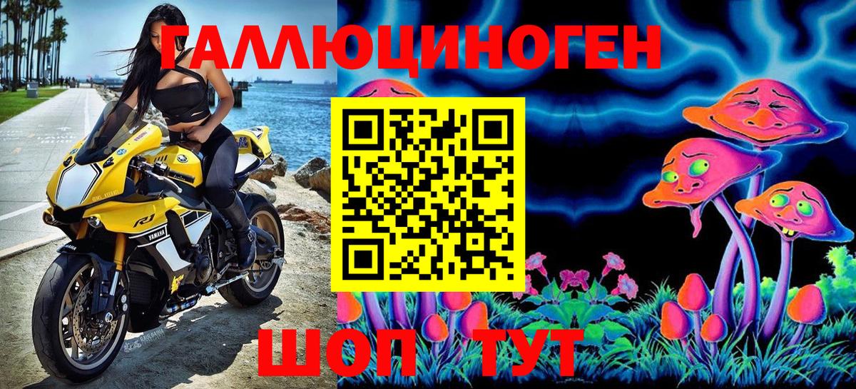 Псилоцибиновые грибы Cubensis Волгоград