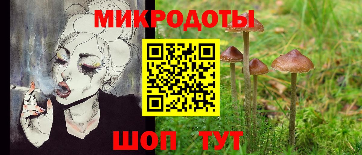 Галлюциногенные грибы Cubensis  Галлюциногенные грибы Cubensis  Вход с VPN  Волгоград 