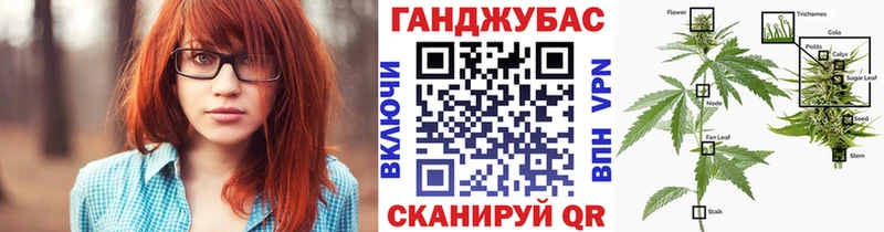 МАРИХУАНА план  продажа наркотиков  Волгоград 